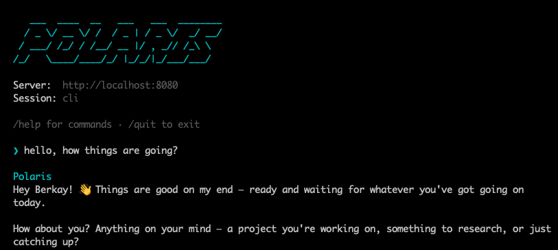 Polaris Agent CLI chat interface